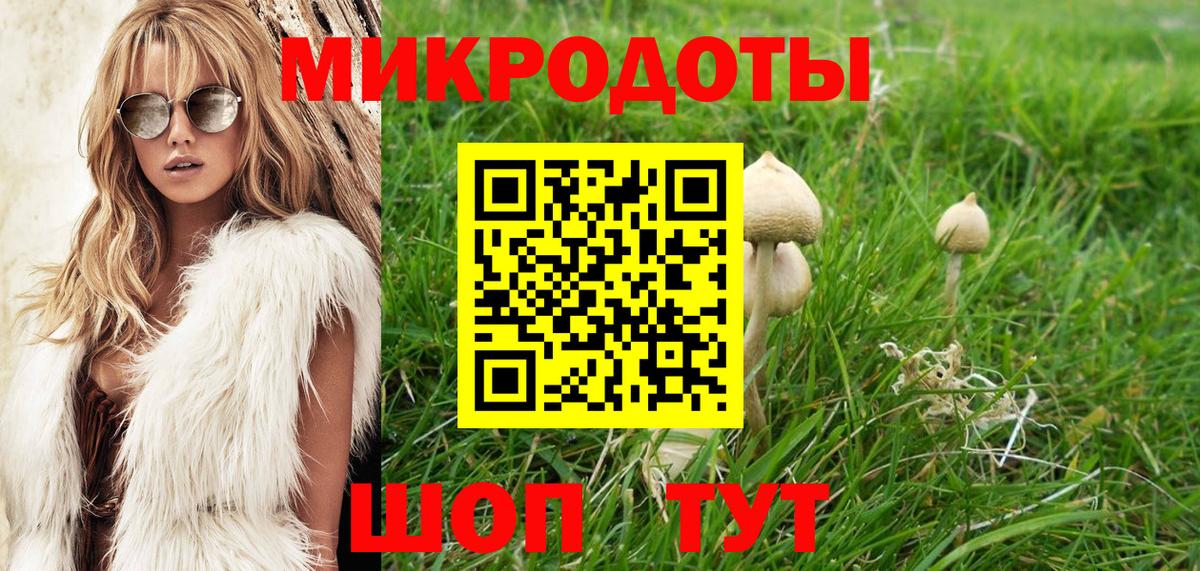 Зеленодольск  Псилоцибиновые грибы GOLDEN TEACHER  Вход с VPN 