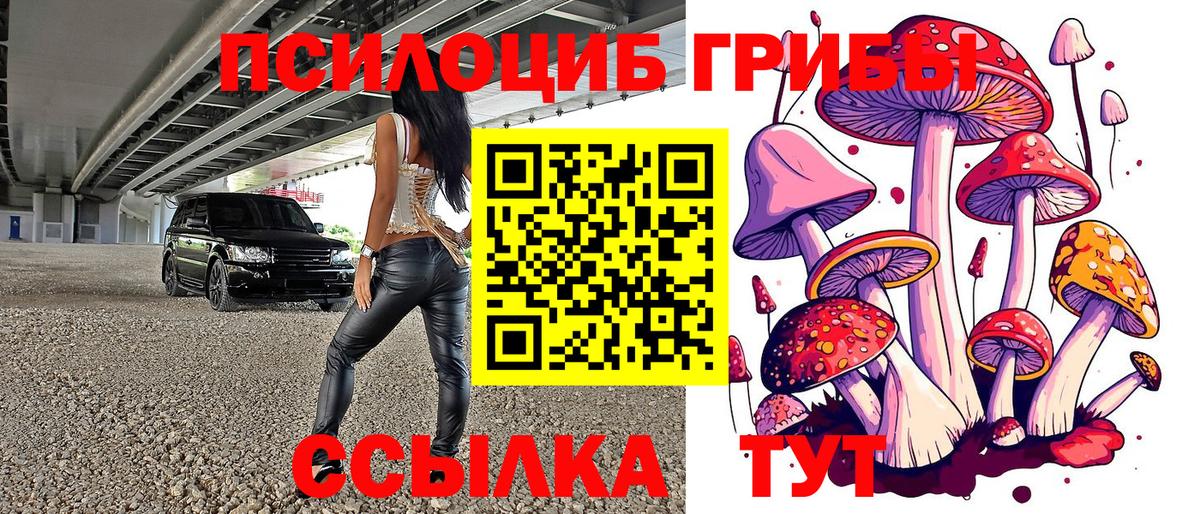Галлюциногенные грибы Cubensis Зеленодольск